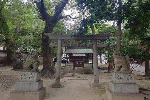 愛知県-真清田神社-三末社 愛知県-真清田神社-三末社 真清田神社,神社,尾張国の写真素材