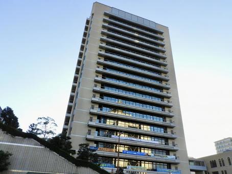 静岡市役所静岡庁舎新館・葵区役所を仰ぐ2 静岡市役所,葵区役所,静岡市の写真素材