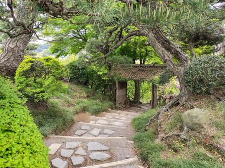 偕楽園 櫟門(くぬぎ門) 偕楽園 櫟門(くぬぎ門) 偕楽園,櫟門,茨城県の写真素材