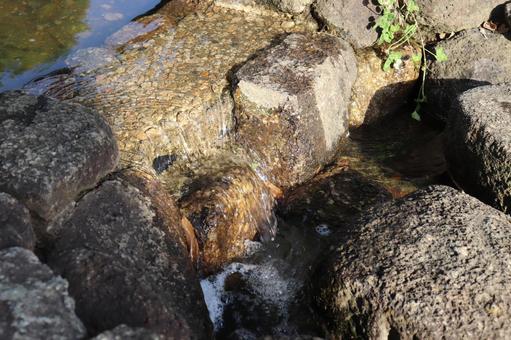 公園の中の小川 公園の中の小川の写真