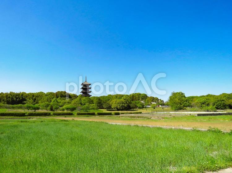 岡山県 吉備路の風景〜備中国分寺の五重塔 備中国分寺,吉備路,岡山県の写真素材