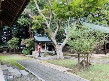 駒形神社 山神社 駒形神社 山神社 駒形神社,岩手県奥州市,陸中国一宮の写真素材