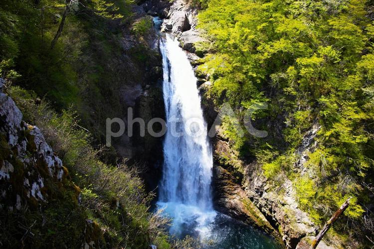 秋保大滝　その2 滝,春,流れるの写真素材