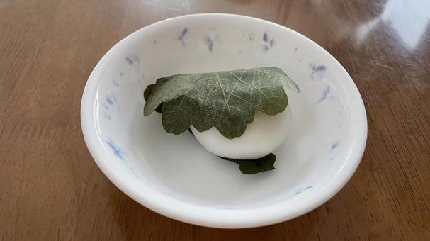柏餅ひとつ 柏餅ひとつ 柏餅,かしわもち,端午の節句の写真素材