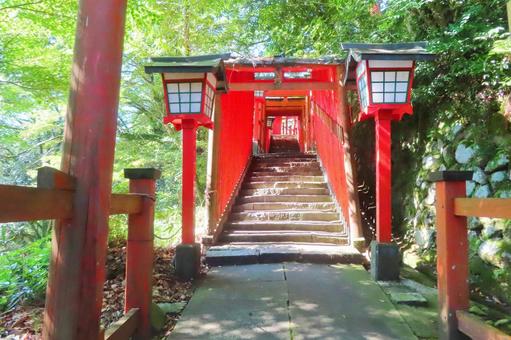 【島根県】太鼓谷稲荷神社 【島根県】太鼓谷稲荷神社 神社,稲荷神社,津和野の写真素材