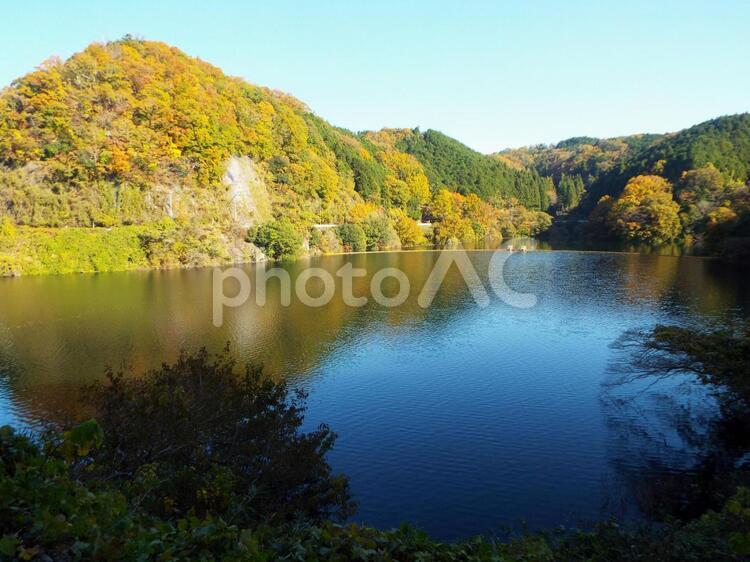 森の中の湖 湖,森,紅葉の写真素材