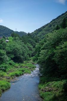 緑豊かな渓谷の川 緑豊かな渓谷の川 川,渓谷,山の写真素材