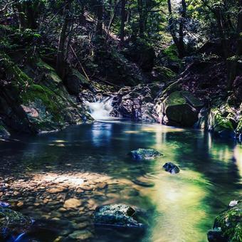 青山高原の秘境 青山高原の秘境の写真