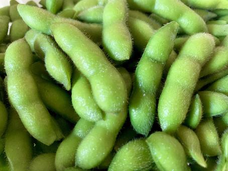 採れたて茹でたて枝豆2 採れたて茹でたて枝豆2 枝豆,えだまめ,茹でたての写真素材