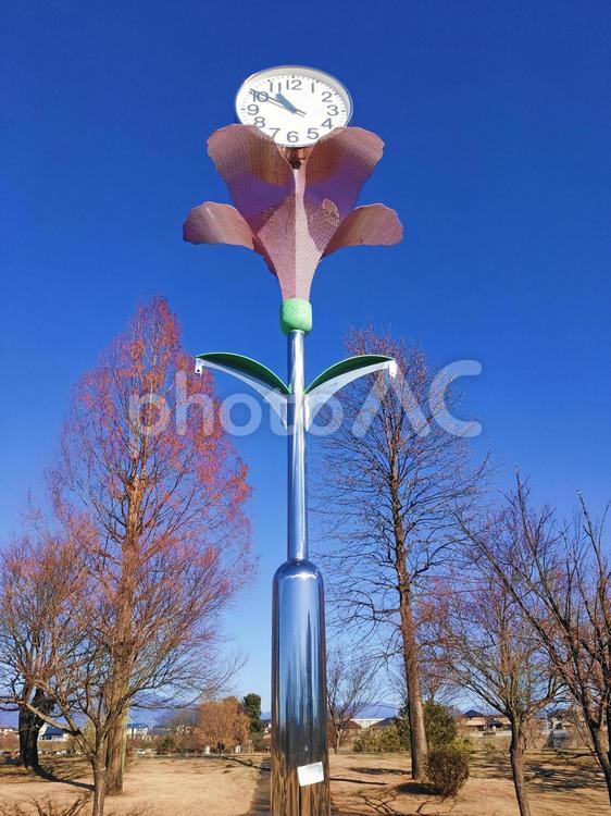 青空とアナログ時計 時計,樹木,風景の写真素材