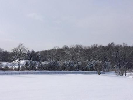 雪景色 雪景色 雪景色,北海道,千歳の写真素材