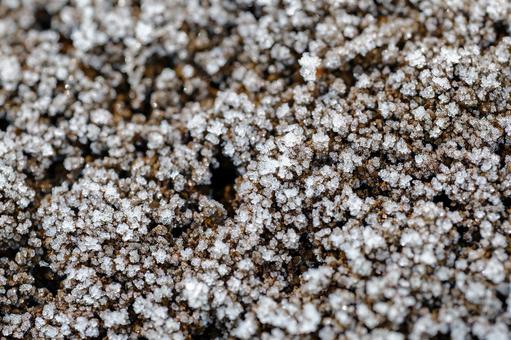 畑の霜 朝霜,霜,草の写真素材