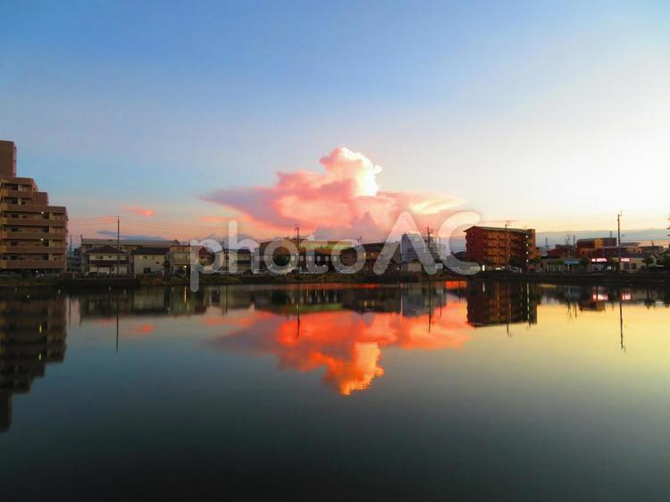 ８月上旬の蓮池からの夕陽に輝く入道雲 背景,入道雲,夕陽の写真素材