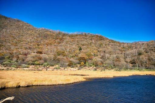落葉すすむ晩秋の覚満渕 風景,青空,晴れの写真素材