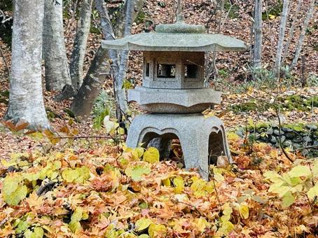 秋の風景 紅葉,落ち葉,枯葉の写真素材