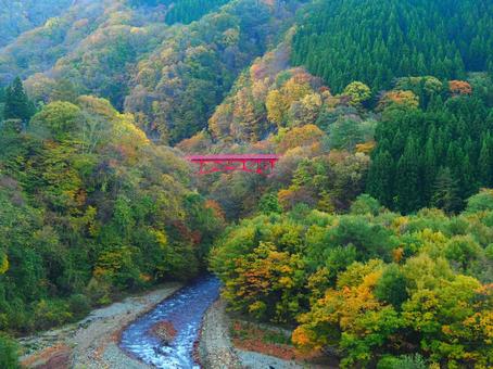 紅葉・松川渓谷高井橋 紅葉,松川,渓谷の写真素材