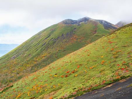 紅葉の秋田駒ケ岳 秋田駒ケ岳,紅葉,秋の写真素材