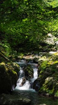 Soothing ~ A small waterfall in the forest, JPG Soothing ~ A small waterfall in the forest, JPG