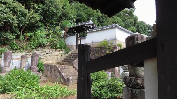 隨念寺 松平清康の墓 隨念寺 松平清康の墓 隨念寺,神社仏閣,寺の写真素材