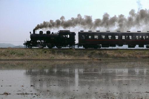 田舎の汽車 汽車,シルエット,真岡鉄道の写真素材