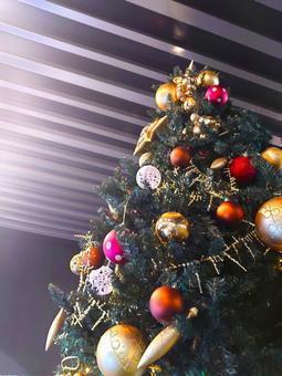 クリスマスツリー クリスマス・冬 クリスマスツリー クリスマス・冬 クリスマスツリー,クリスマス,ツリーの写真素材