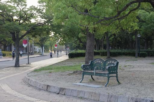 早朝の長居公園(大阪)2 早朝の長居公園(大阪)2 早朝,長居公園,大阪の写真素材