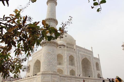 タージマハル タージマハルの写真