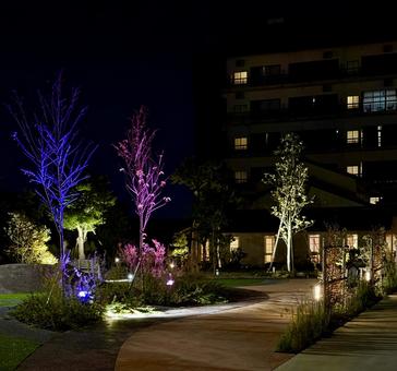 夜のあわら市の町並み　温泉街　 あわら市,夜景,風景の写真素材