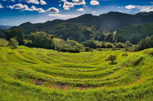 のどかな秋の里山風景 のどかな秋の里山風景 千葉県,千枚田,彼岸花の写真素材