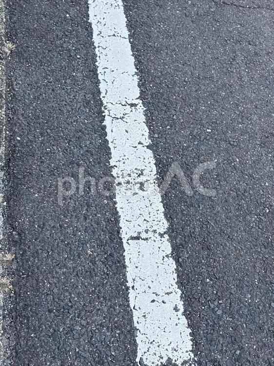 車道の白線 車道,道路,白線の写真素材