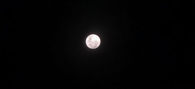 満月 満月 自然,空,夜空の写真素材