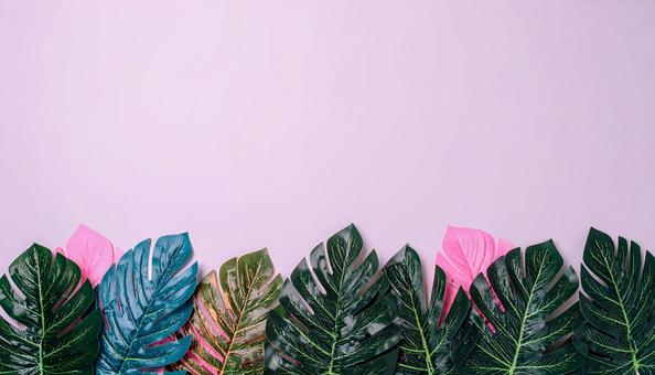 ピンクの背景とカラフルな葉っぱ ピンクの背景とカラフルな葉っぱの写真