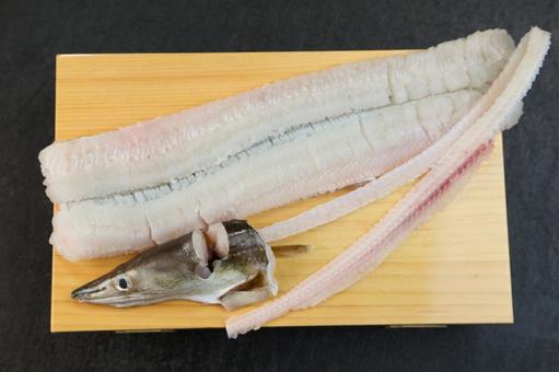 ハモ ハモ ハモ,京料理,湯引きの写真素材