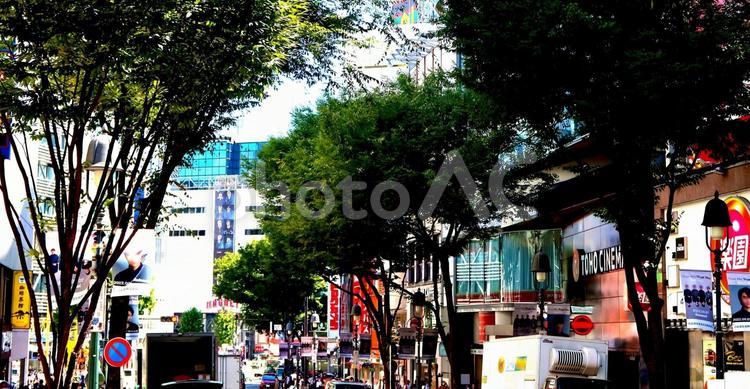東京・渋谷　街の風景 東京,渋谷,風景の写真素材