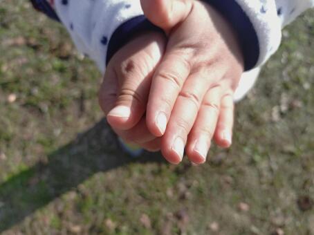 冬のこどもの手 子供,自然,秋の写真素材