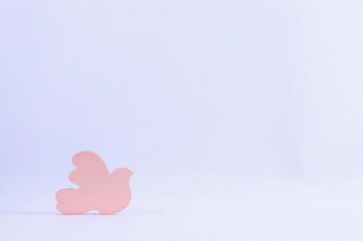 Photo, bird, colorful, piece, 