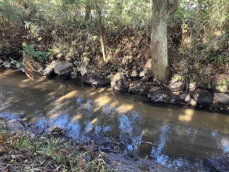 遠野のカッパ淵風景（秋） カッパ淵,カッパ,遠野の写真素材