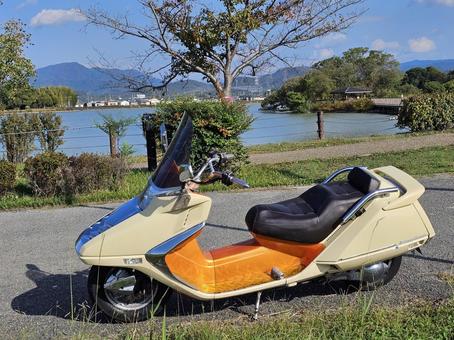 HONDA FUSION バイク,スクーター,ホンダの写真素材