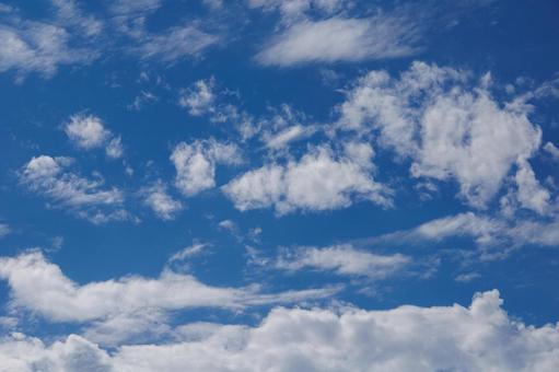 青空に浮かぶ白い雲 青空に浮かぶ白い雲 青空,空,雲の写真素材