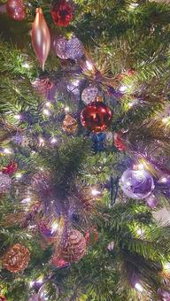 クリスマスの飾り付け クリスマスの飾り付け クリスマスツリー,クリスマス,冬の写真素材