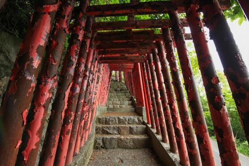 八幡浜市　愛宕山王照院　鳥居と遊歩道 愛宕山王照院,愛宕山,神社の写真素材