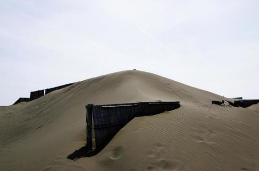 湘南の砂山 湘南の砂山の写真