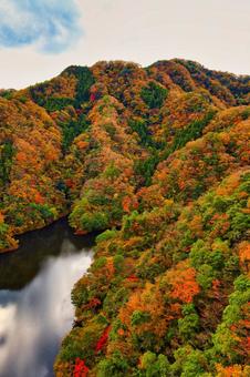 青空と山の紅葉の写真
