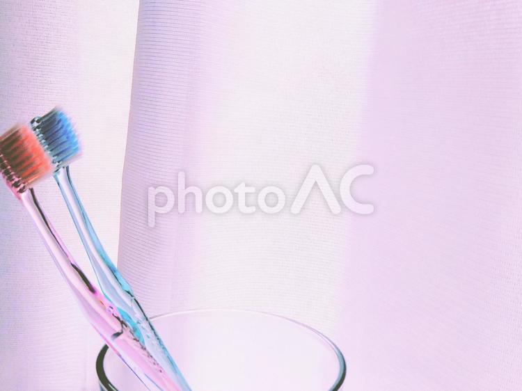 窓のピンク色カーテンと２本のハブラシ 窓,カーテン,窓際の写真素材
