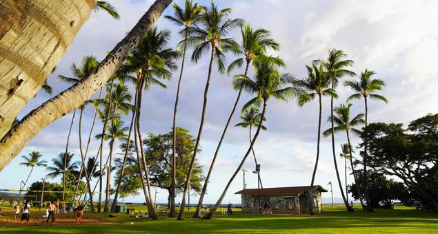 マウイ島キヘイ コーブ・ビーチ・パーク マウイ島キヘイ コーブ・ビーチ・パークの写真