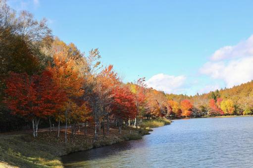 紅葉の女神湖の写真