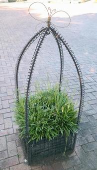 花 花の写真