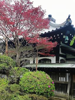 長谷寺の風景 長谷寺の風景の写真