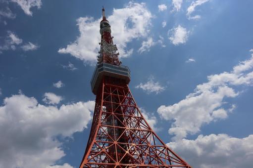 青空と雲と東京タワーを見上げた風景 青空と雲と東京タワーを見上げた風景 青空,雲,東京タワーの写真素材