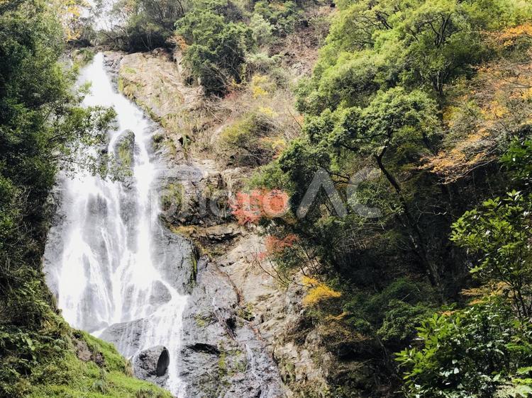 紅葉　神庭の滝　岡山 岡山,岡山県,中国地方の写真素材